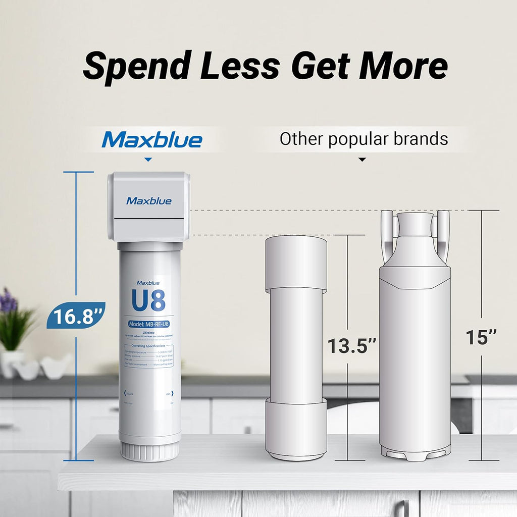 Under Sink Water Filter with Brushed Stainless Steel Faucet D100735