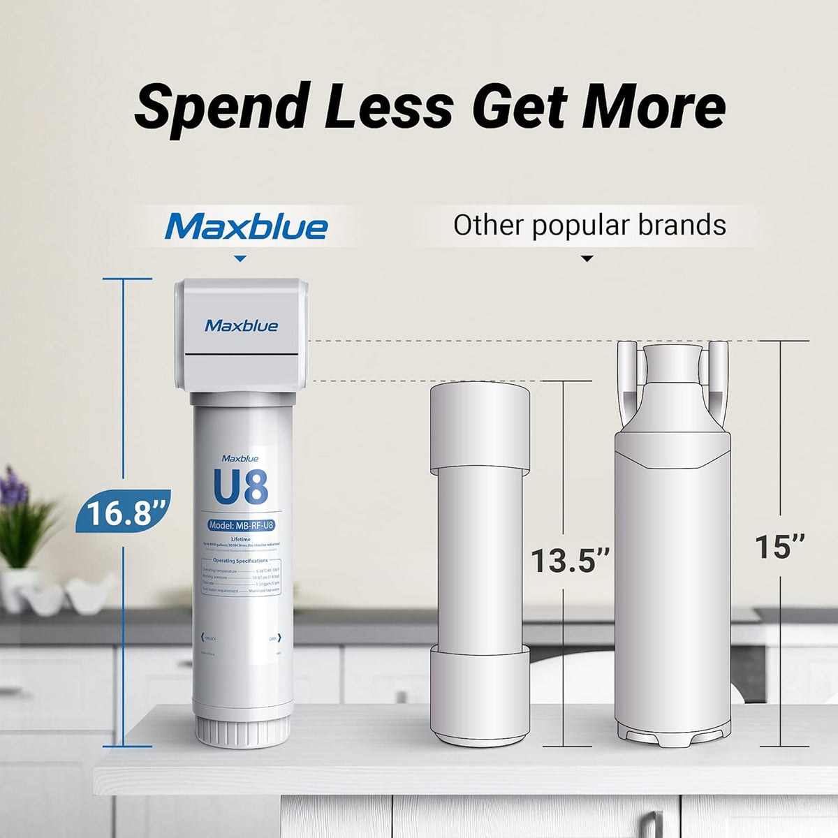 Under Sink Water Filter with Brushed Stainless Steel Faucet D100735