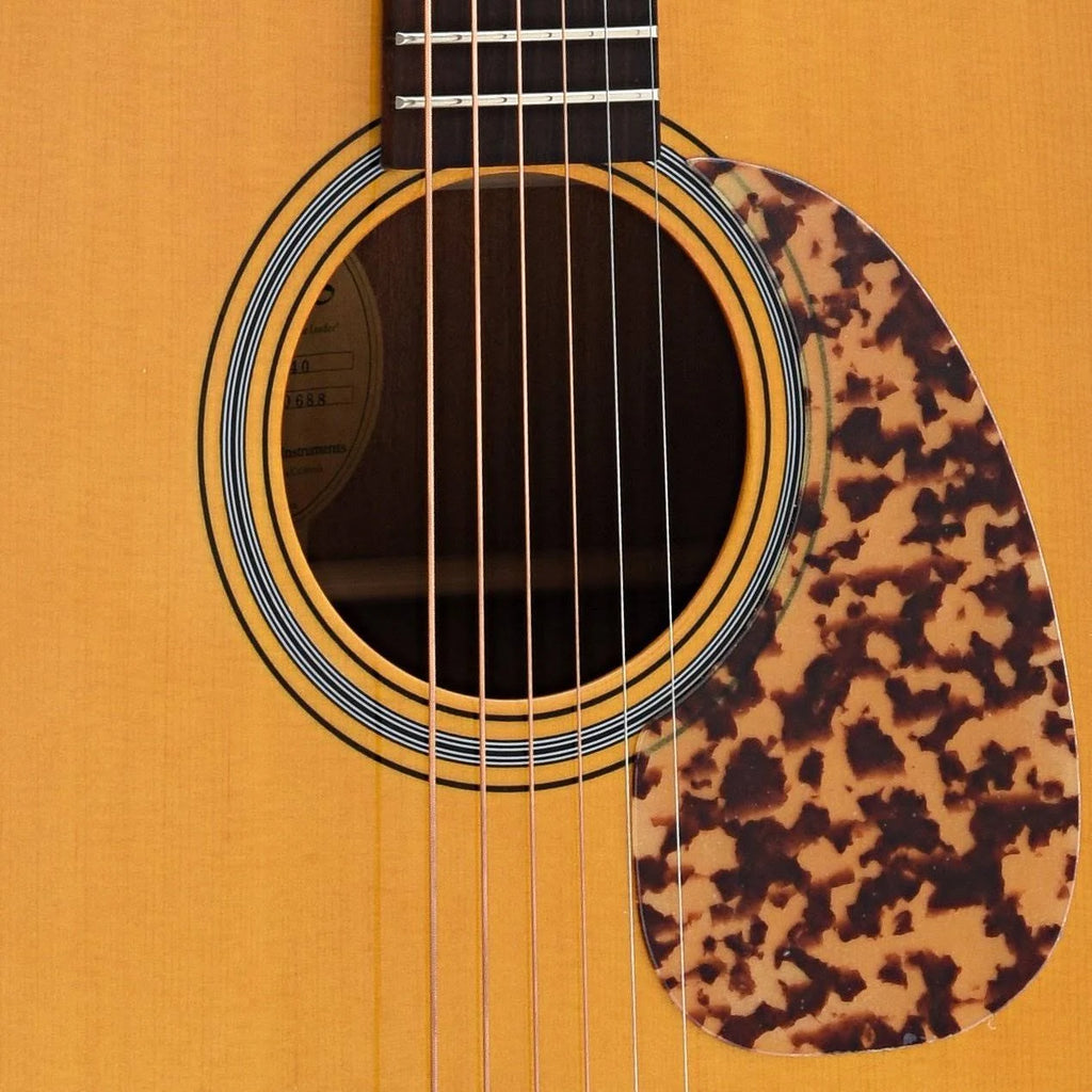 Acoustic Guitar Dreadnought G69027