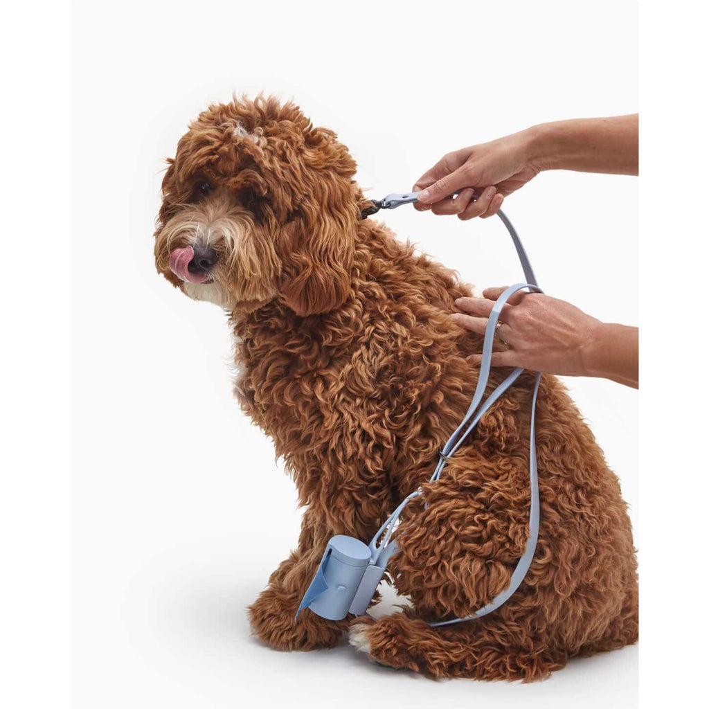 Dog Leash L114382