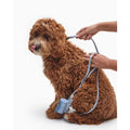Dog Leash L114382