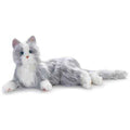 Companion Pet Cat E177392