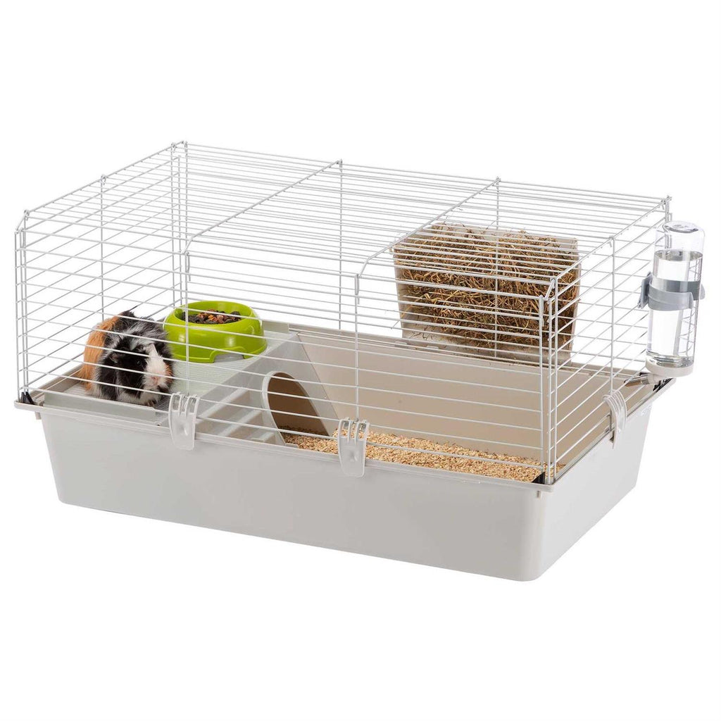 Guinea Pig Cage C93579