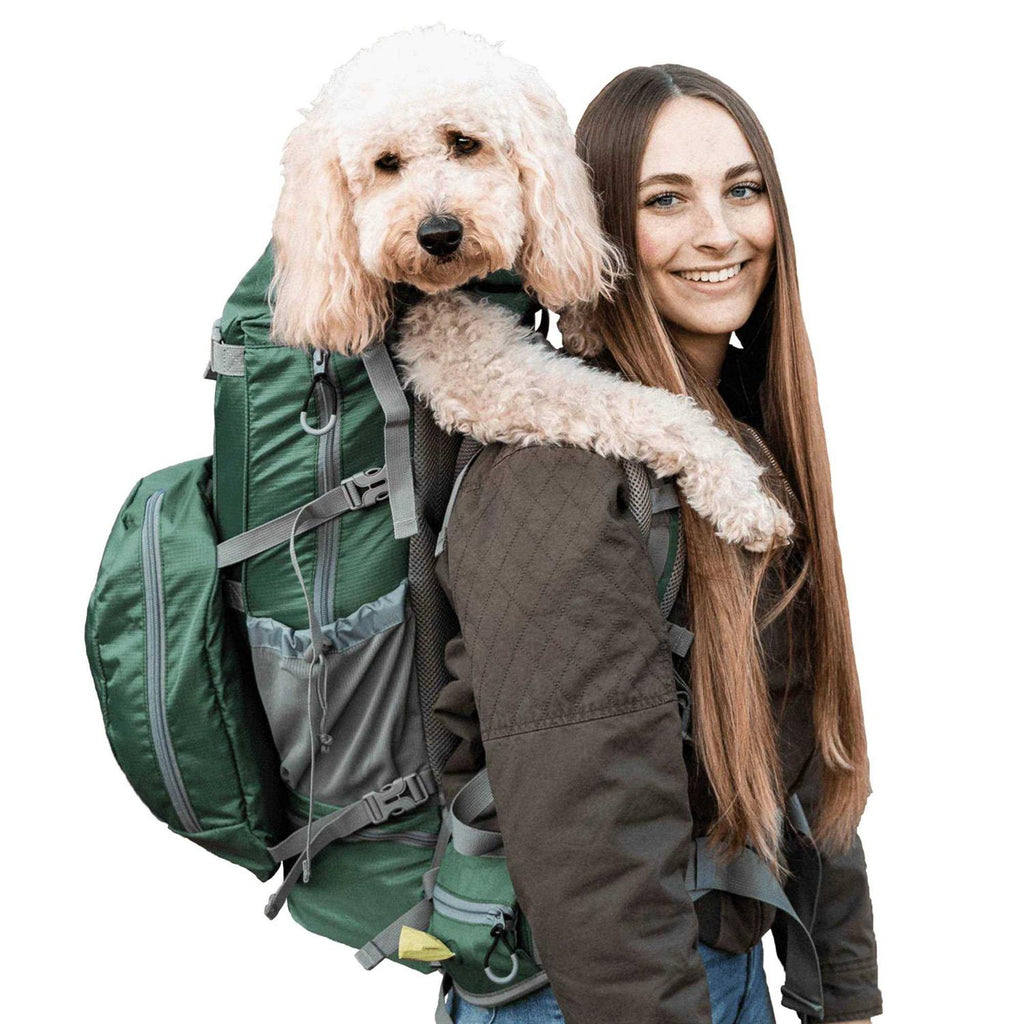 Dog Carrier Z549194