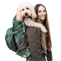 Dog Carrier Z549194