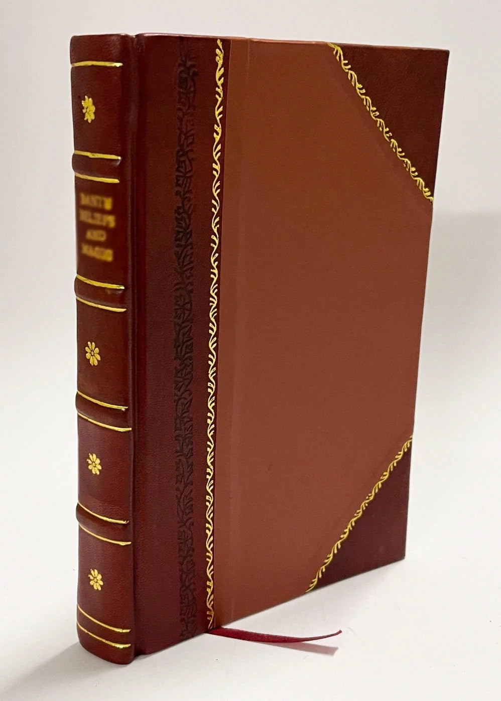 A Constituicao, E O Povo Do Rio De Janeiro Offendido No Requerimento Que Dirigio, a Sua Magestade Imperial, Joaquim Goncalves Ledo. : Se Se Podessem Confundir Estas Duas (1822) Leather Bound A51052