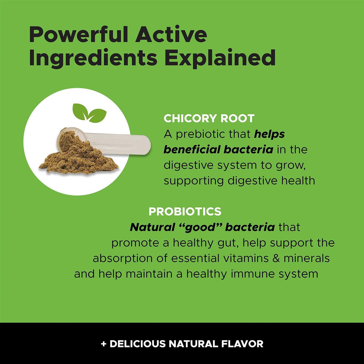 Digestive Probiotics for Cats P502