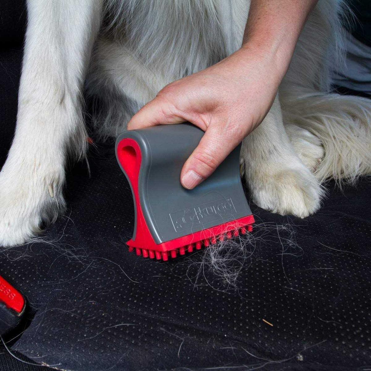 Dog Hair Remover Z26680