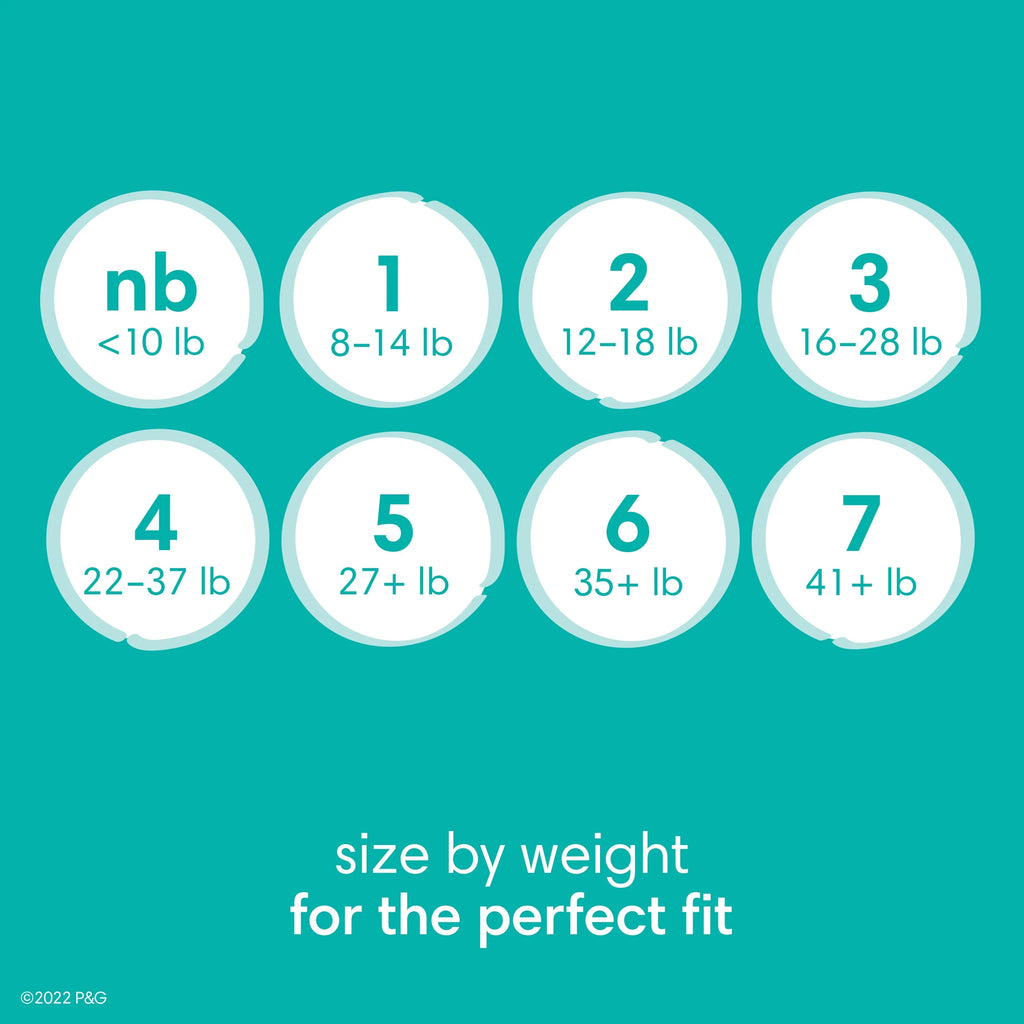 Baby Dry Diapers Size 6, 64 Count Z358