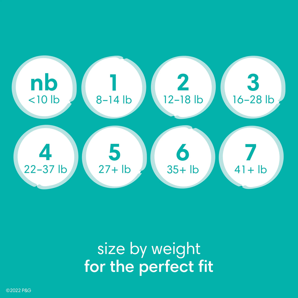 Baby Dry Diapers Size 6, 64 Count Z358