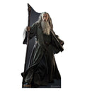 Cardboard Standup A490422