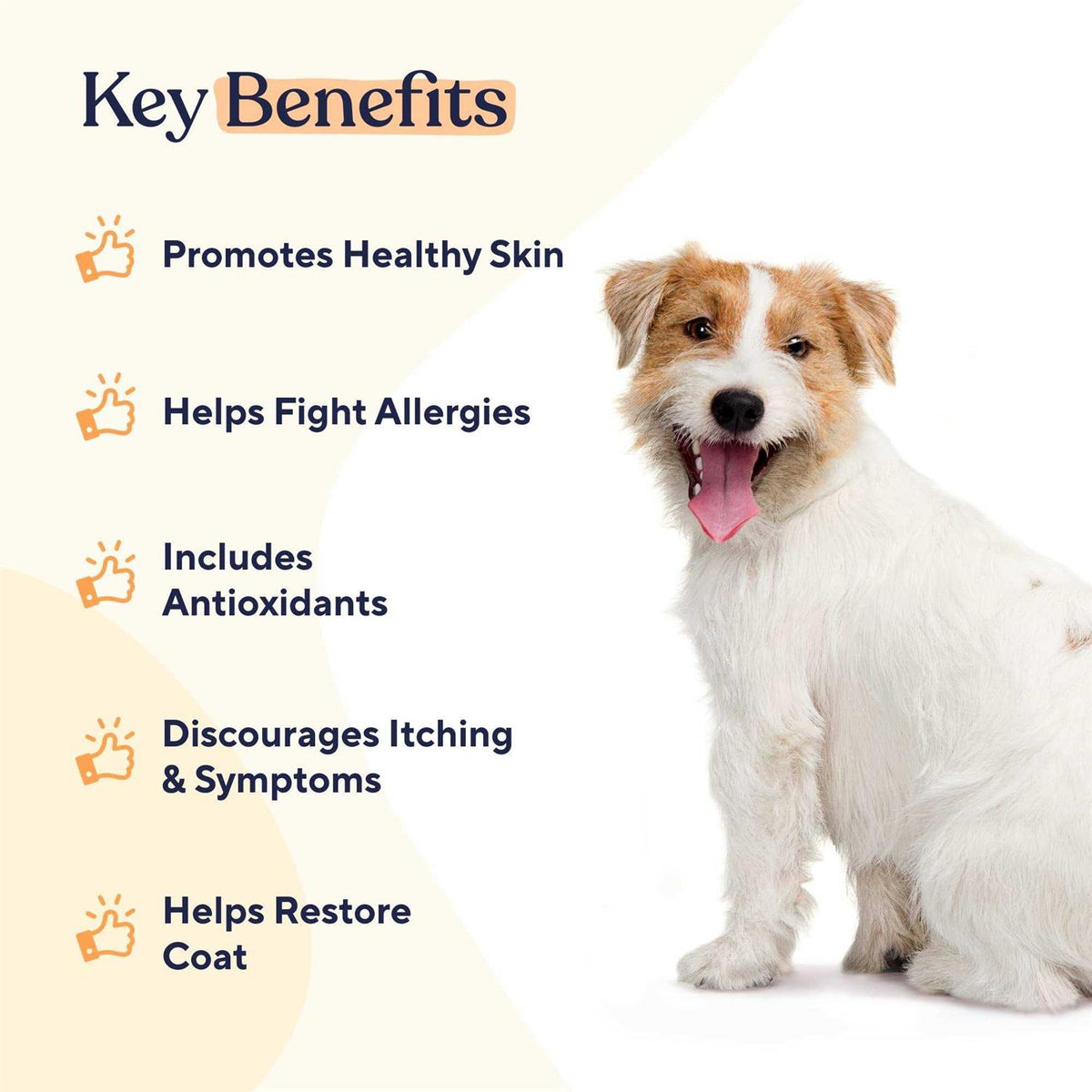 Skin & Coat Soft Chews R115