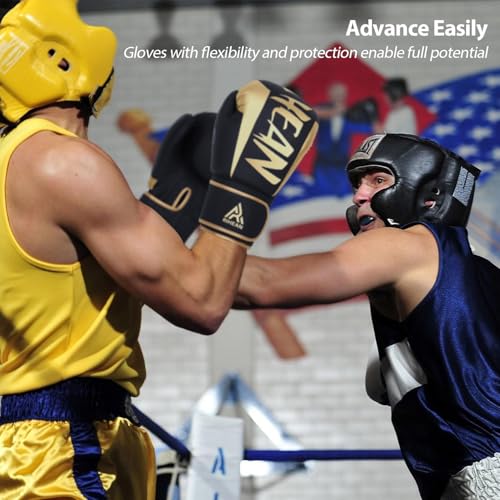 Boxing Training Gloves 10-16oz N188864