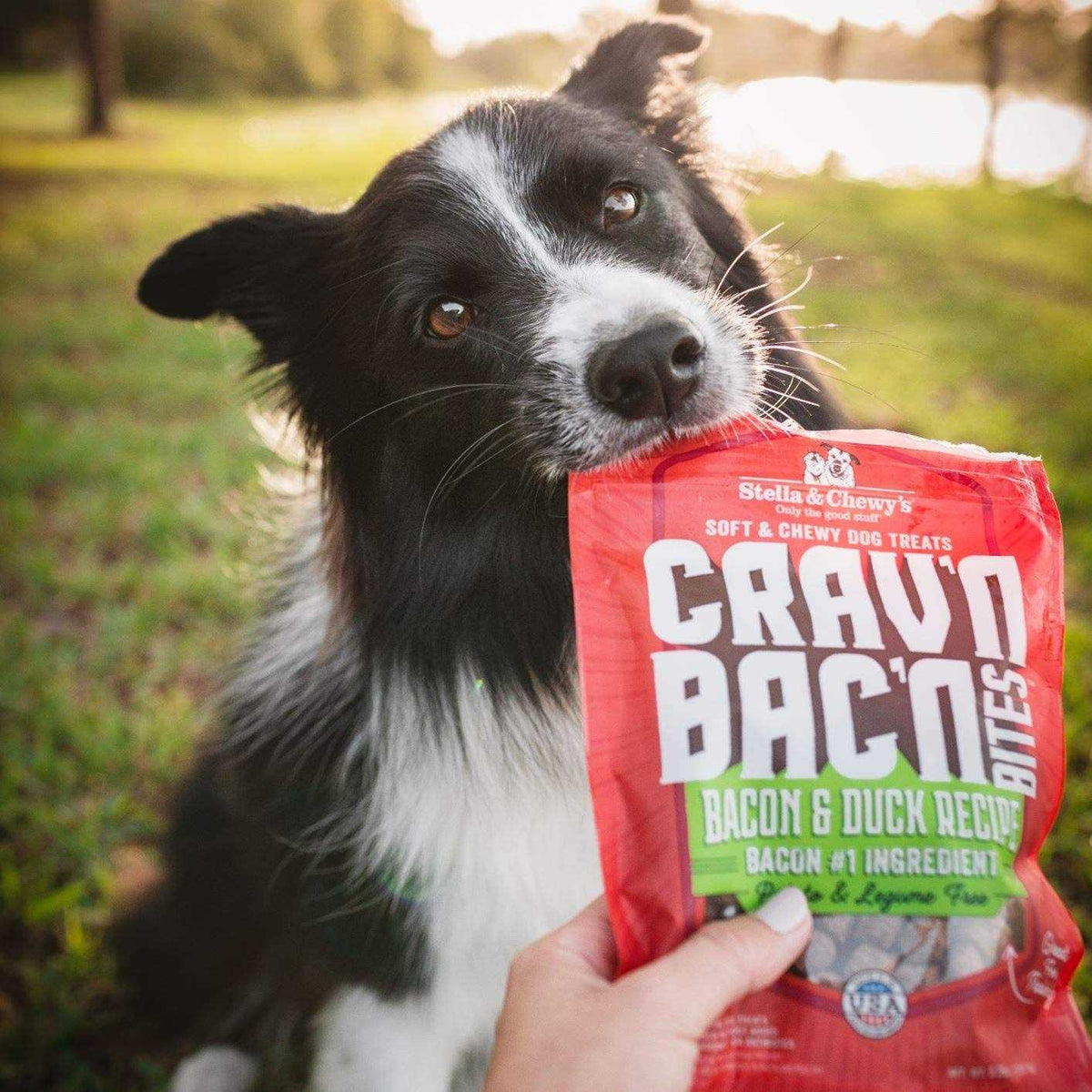 Bacon Dog Treats S863841