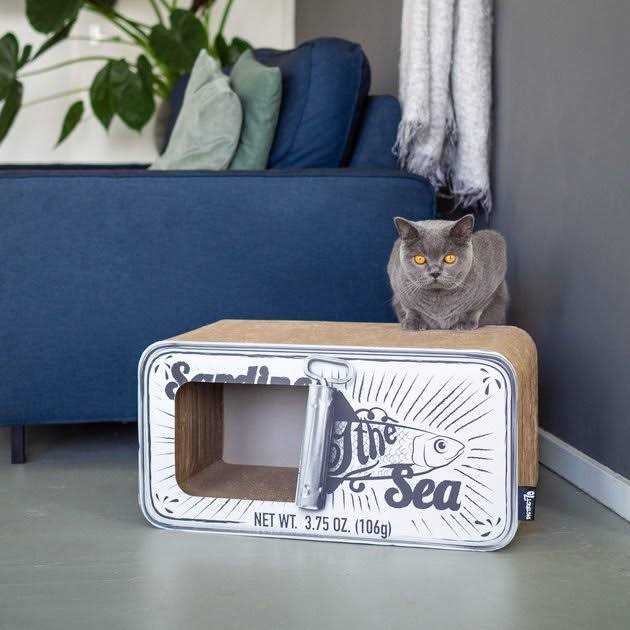 Cardboard Cat Scratcher E773656