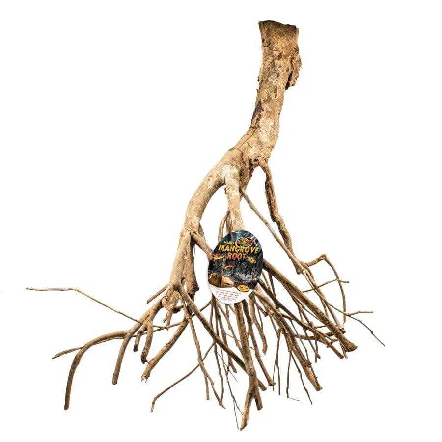 Mangrove Root Q409735