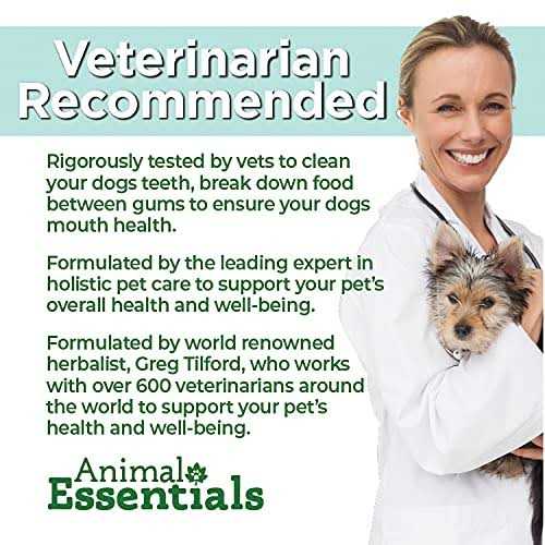 Senior Support Pet Supplies O148291