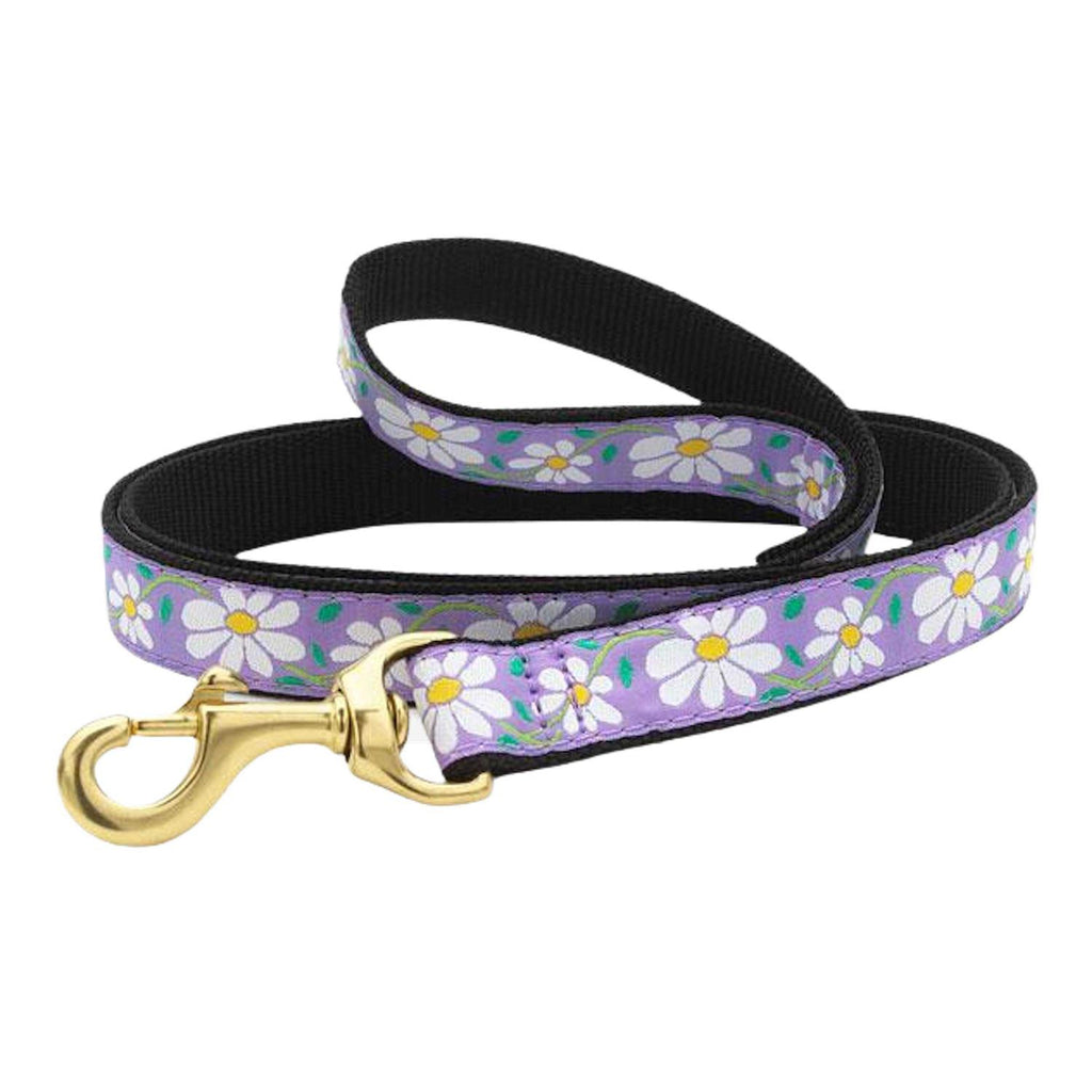 Dog Collar N63521