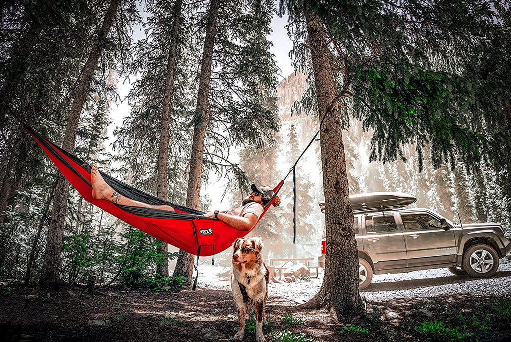 DoubleNest Hammock B5760
