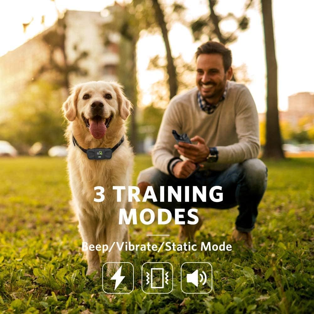 Dog Training Collar with Remote, 1 Count Pack of 2 N645831