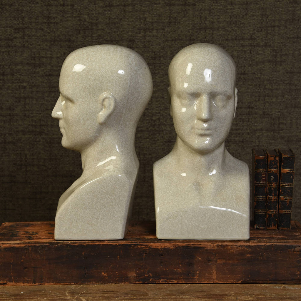 White Scientific Head Model Sculpture Y45025