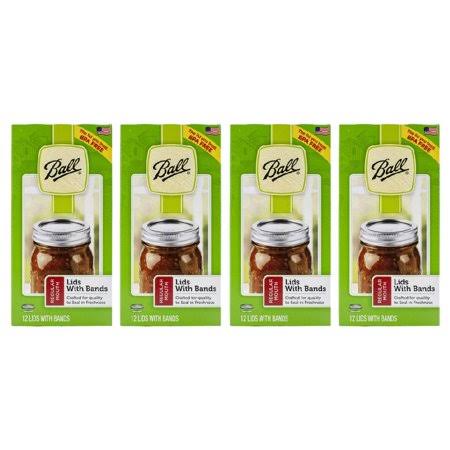 48 Canning Lids and Bands for Glass Jars R41967
