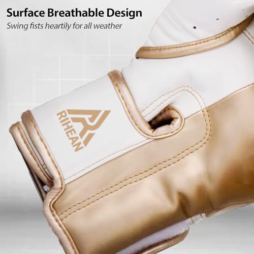 Boxing Training Gloves 10-16oz N188864